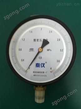 精密壓力表生產(chǎn)商