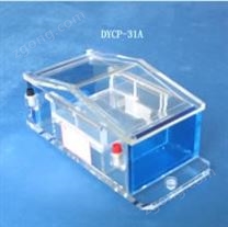 DYCP-31A微瓊脂糖電泳儀   北京六一電泳儀