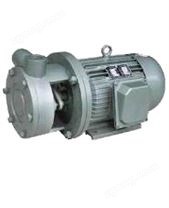 W型單級直聯(lián)漩渦泵