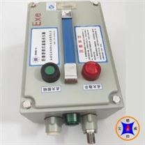 寶威燃控轉(zhuǎn)爐煤氣燒嘴 便攜式高能點火器BWBD-12