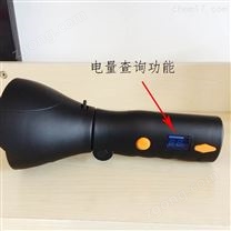 上海TMN1407模具房夜間巡檢燈手握電筒