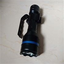 RJW7103消防員夜間搜索強(qiáng)光手提充電燈