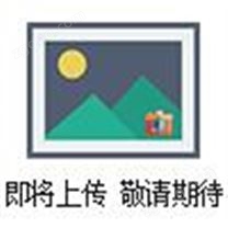 seko柱塞計(jì)量泵，SEKO計(jì)量泵