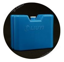 DYCZ-40K 轉(zhuǎn)印電泳儀