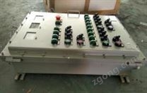 BXD51-6/KXX防爆配電箱帶插接裝置